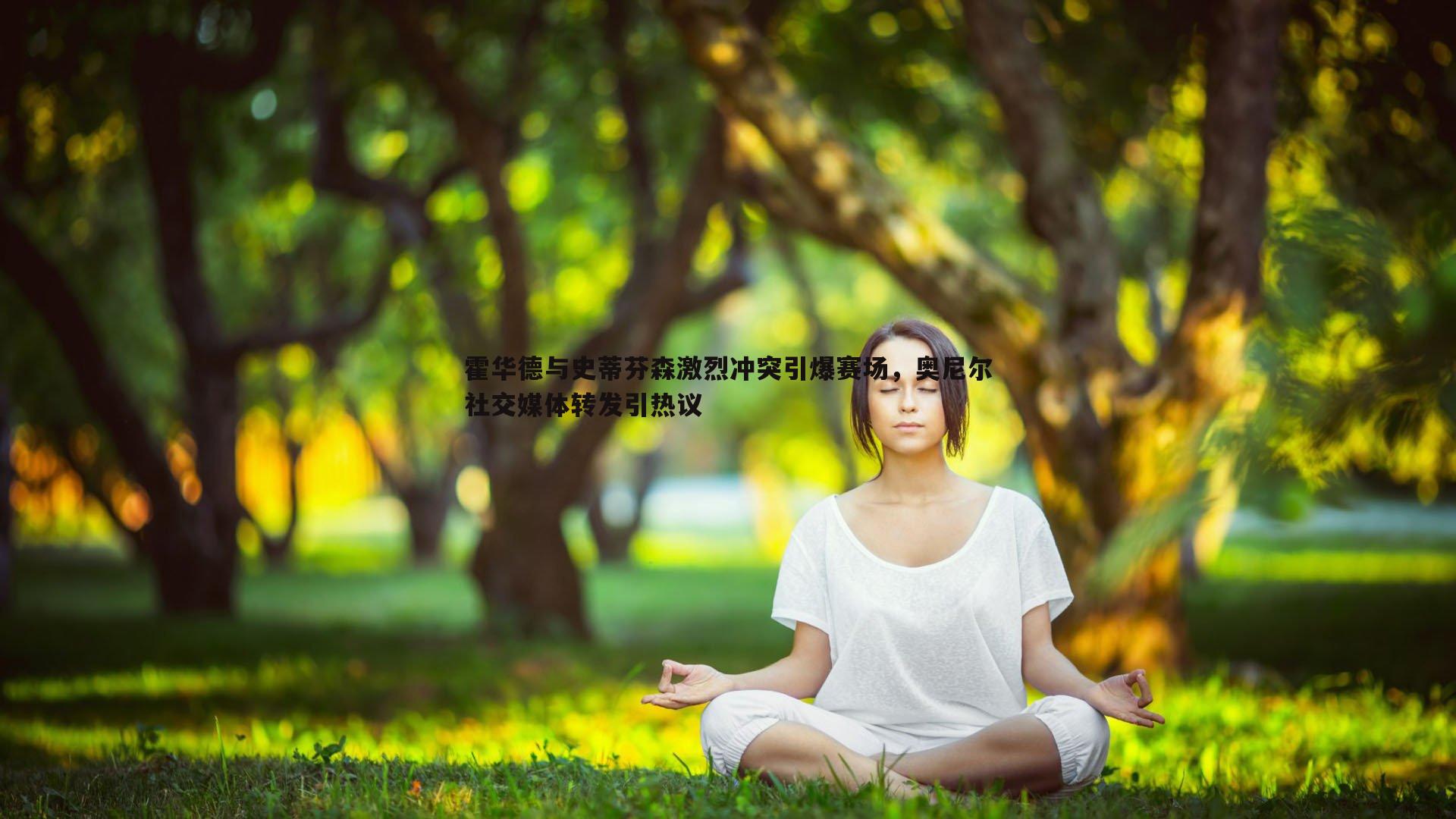 欧博官网-霍华德与史蒂芬森激烈冲突引爆赛场，奥尼尔社交媒体转发引热议