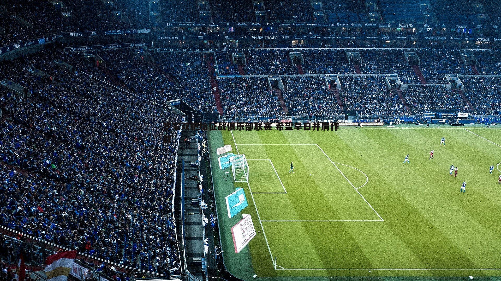 罗家双胞胎征战俱乐部联赛 希望早日并肩作战