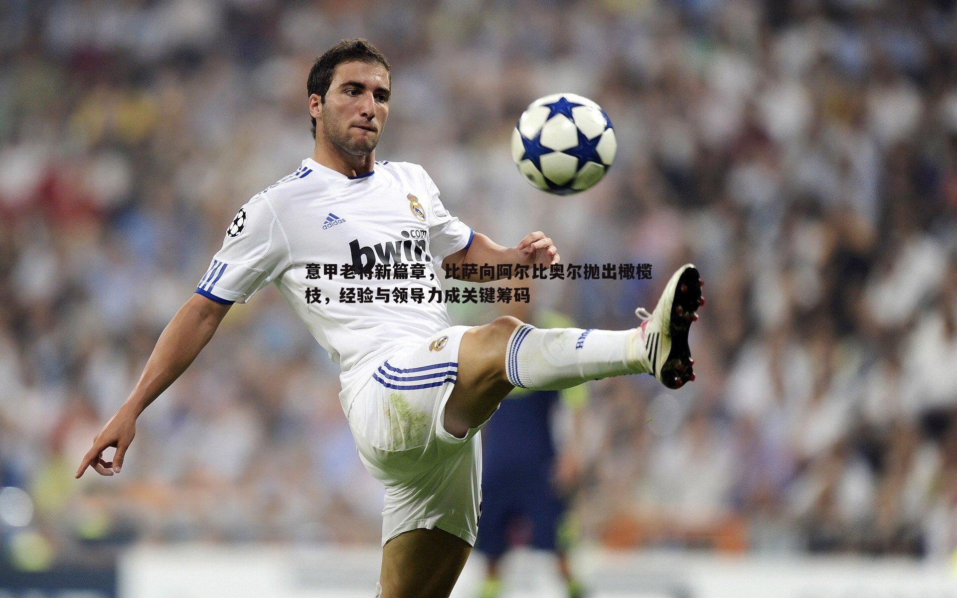 意甲老将新篇章,比萨向阿尔比奥尔抛出橄榄枝,经验与领导力成关键筹码
